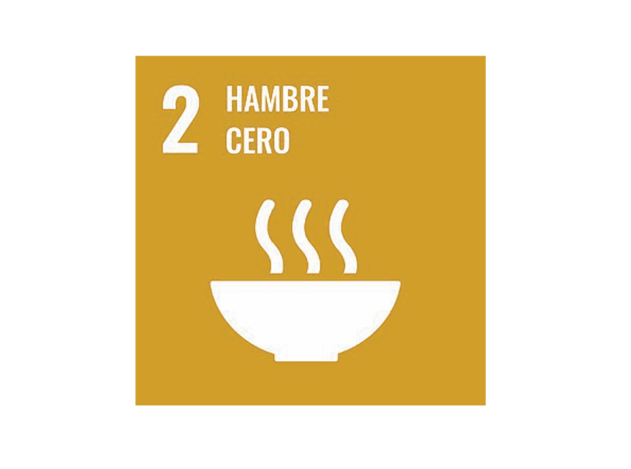 Imagen del artículo